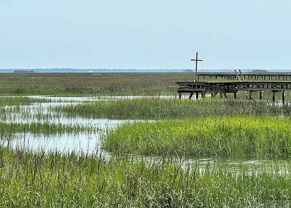 Serene Savannah