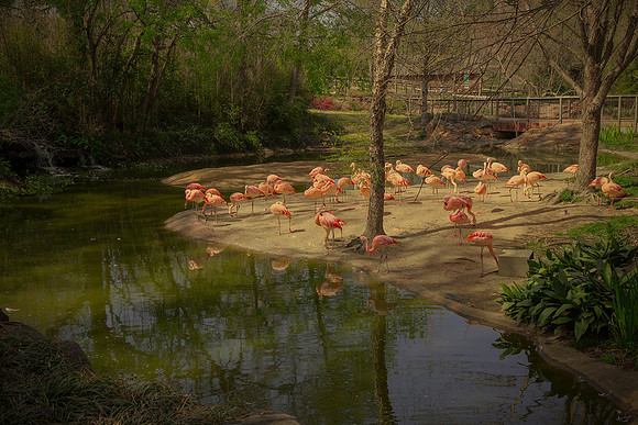 Caldwell Zoo