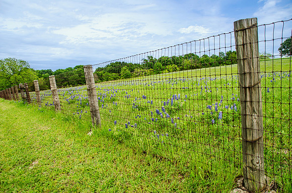 Behind a Fence