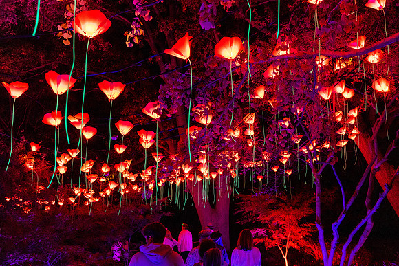 Holiday Lanterns