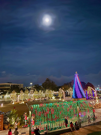 The Night Before Christmas