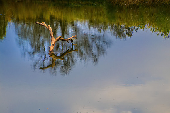 9 Trinity River