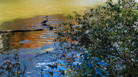 Autumn on the Lake