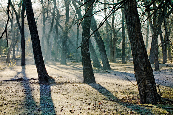 Frosty Morning