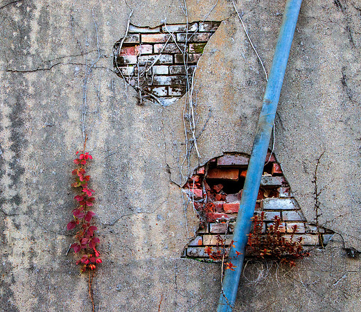 If Walls Could Talk