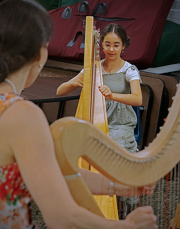 The Harp Lesson
