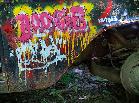 Forest Boogie