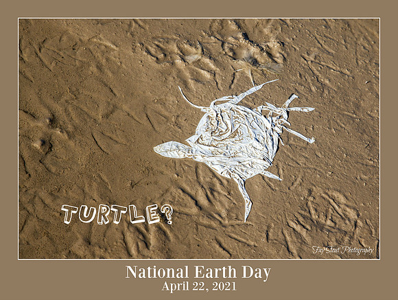 National Earth Day