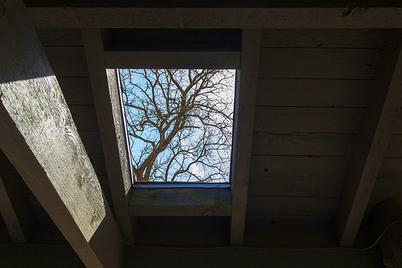 Skylight