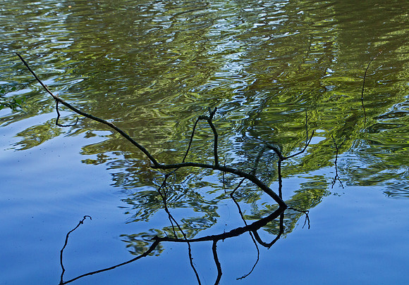 Reflection | Photo by LaDonna Forrest