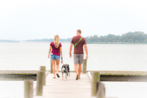 dock, couple, dog, summer