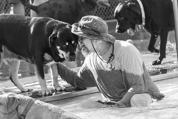 man, dog, pool, Garland, Texas