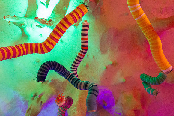 Gummy Worms