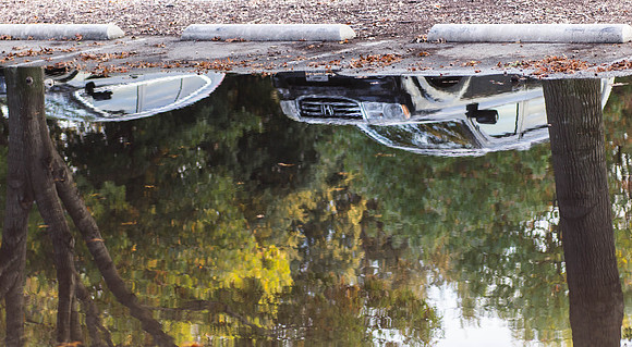 Parking Lot, reflection, Dallas Arboretum, Texas