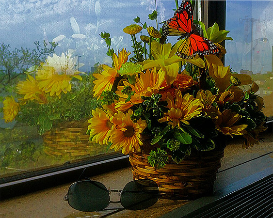 Hospice Visit, flowers, basket, reflection