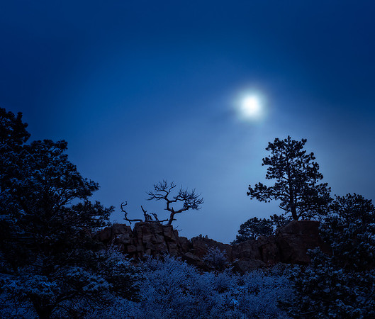 Misty Moonlight, hill, trees, night, blue, Colorado