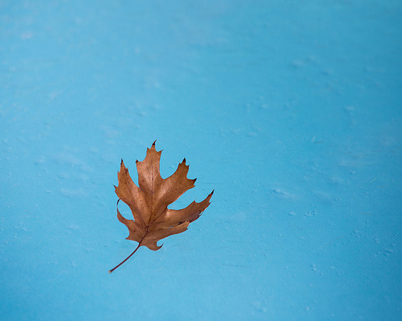 Autumn on Ice
