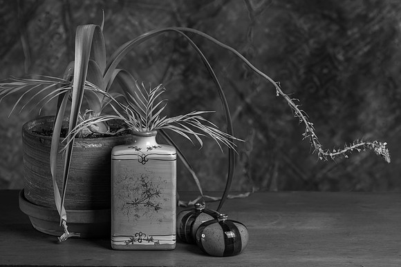 Pregnant Onion Still-Life