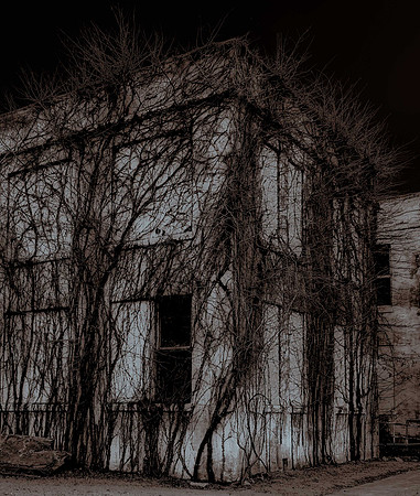 Spooky, vines, building, night, Terrell, Texas