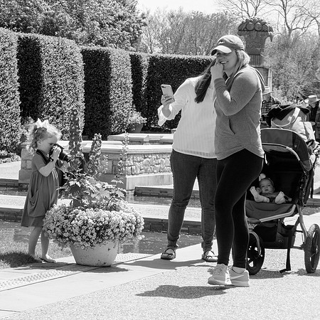 Photographer in the Making, Dallas Arboretum, girl, woman, camera