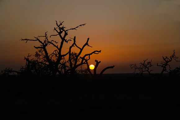 Stuck Setting Sun