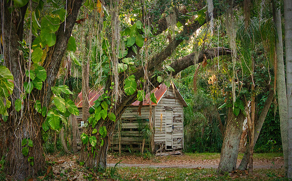No Trespassing, trees, Spanish moss, shack