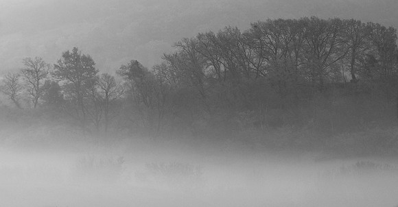Island in the Mist