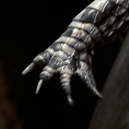 Free Back Scratch -- Who's Next?