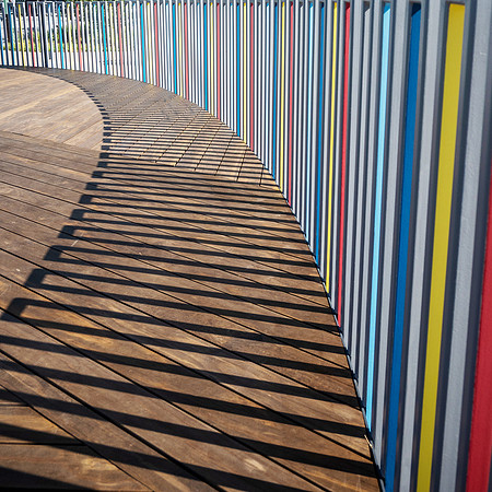 Curves and Lines