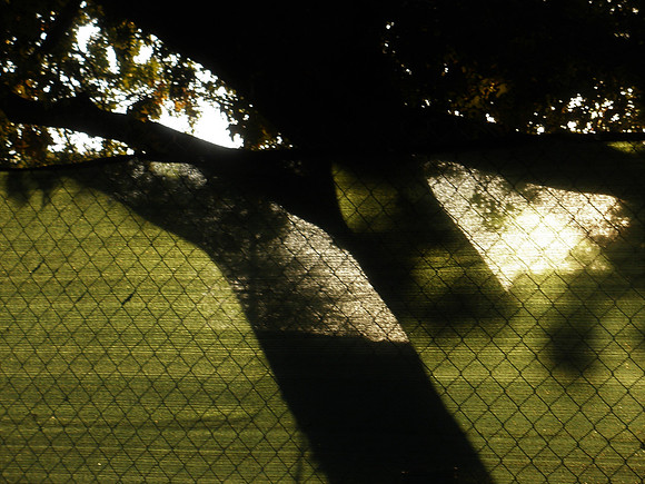 Shadow Magic