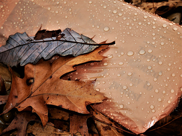 Headline:  Rain and Cooler