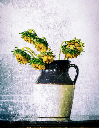 Jug of Sunflowers