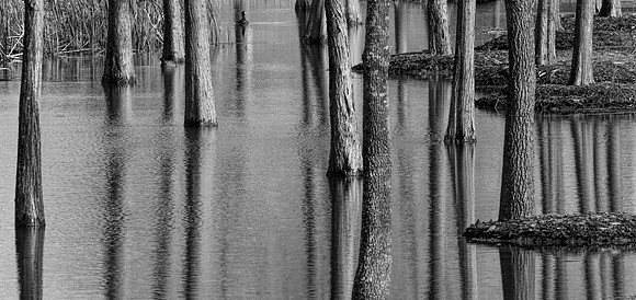 Reflections