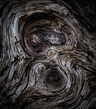 The Scream