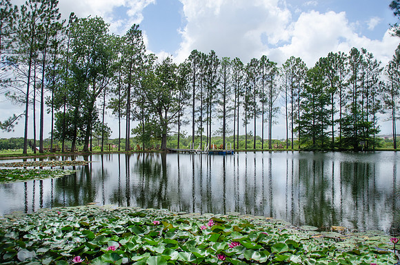 Rest and Reflection