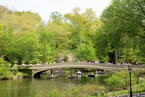 Boating in Central Park