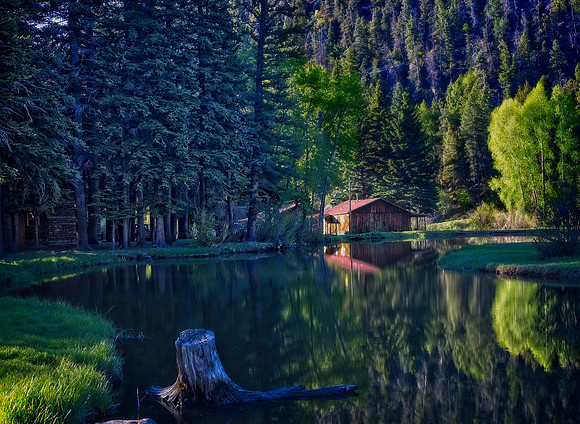 The Cabin