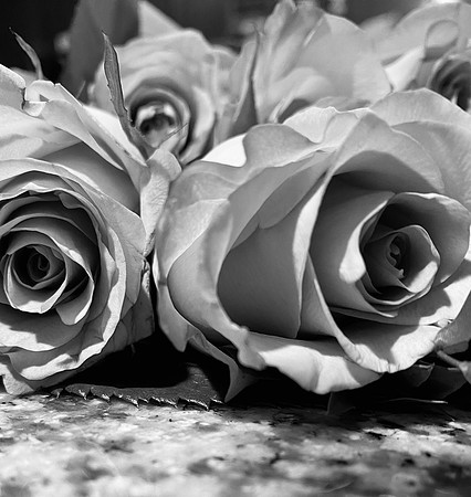 Paper Flowers