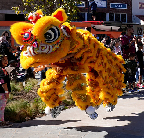 Flying Dragon