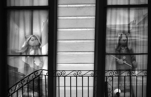 The Girl Next Door