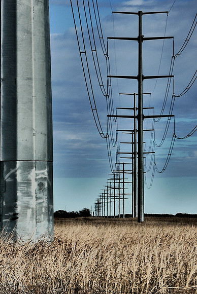 Pretty Poles All In A Row
