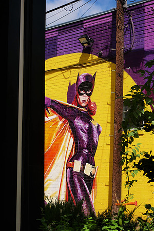 Cat Woman Round the Corner