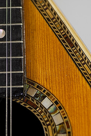 1894 Mandolin