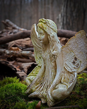 Fairy