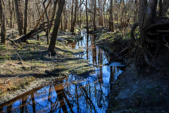 Country Brook