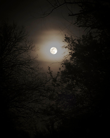 Moon