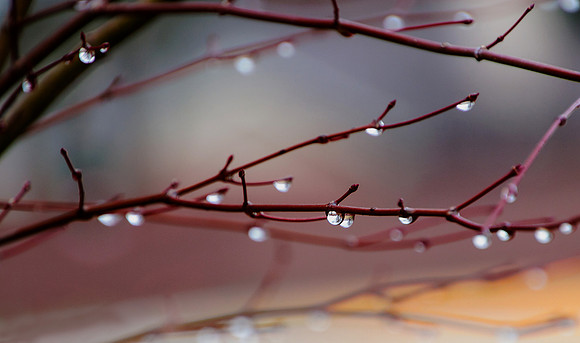 Raindrops