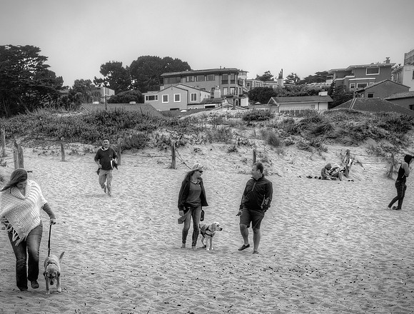 Beach Bums