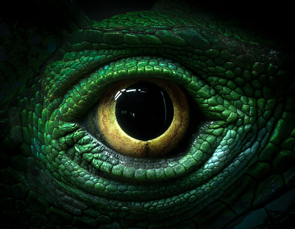 Dragon Eye