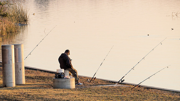 Don't Text and Fish!